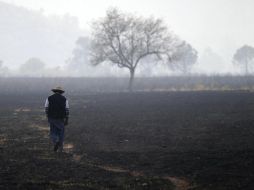 Área afectada por el fuego en Coahuila. El par de incendios liquidados eran los más grandes de la entidad. ARCHIVO  /