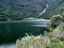 Los microbios que habitan en estas lagunas venezolanas  propician condiciones similares a las de hace 555 millones de años. ESPECIAL  /