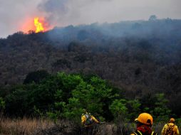 Vista del incendio que consumió decenas de hectáreas en la zona serrana de Arteaga, en Coahuila. ARCHIVO  /
