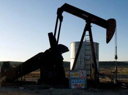 Entre los estados que padecen el flagelo con mayor intensidad destacan Tamaulipas, Sonora, Nuevo León, Durango y Chihuahua. ARCHIVO  /