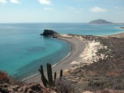Cabo Pulmo fue bautizada por el oceanógrafo Jacques Cousteau como ''el acuario del mundo''. ESPECIAL  /
