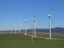 En los últimos cinco años, se ha incrementado la instalación de hélices en campos de Oaxaca. EL UNIVERSAL  /