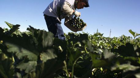 Las tierras de uso común se ubican en ejidos y comunidades donde no hay asentamientos humanos. ARCHIVO  /