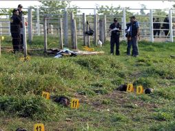 El crimen fue perpetrado el 14 de mayo en una finca del departamento fronterizo de Petén. AFP  /