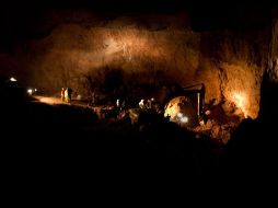 las productoras de carbón podrán vender a CFE si estan certificadas por Unidades de Verificación a partir de julio. ARCHIVO  /