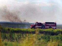 Según reportes de la Conafor, el incendio forestal de esta zona ya fue controlado en un 60 por ciento. ARCHIVO  /