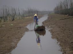 Piscicultor con remos Xu Xinping en su barco por el lago Honghu que se ha secado hasta parecer un pequeño arroyo. EFE  /