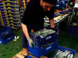 Cargamentos provenientes de España son revisados en Estados Unidos para evitar brote de E. coli. REUTERS  /