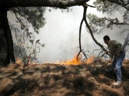 Actualmente Chihuahua y Quintana Roo se encuentran en alerta máxima por el retraso de la temporada de lluvias. ARCHIVO  /