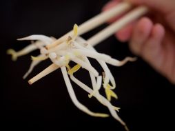 Los brotes de soja, según autoridades sanitarias de Alemania, se identifican como la causa más probable de un brote de E. coli. AP  /