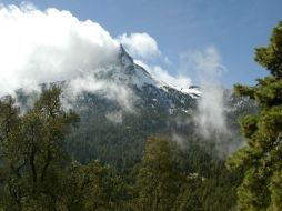 La conferencia se debió al aumento de las emisiones de dióxido de carbono (CO2). ARCHIVO  /