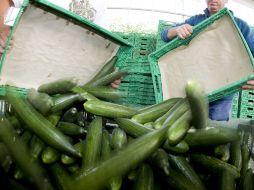A causa de la bacteria que ha causado muertes en Alemania, en Suiza han desechado toneladas de pepinos. EFE  /