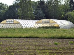 Señalan que la lluvia disminuirá en las zonas que ya tienen carácter seco o semiárido. EFE  /