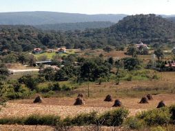 Se impactará positivamente una superficie similar a la mitad del Bosque La Primavera. ARCHIVO  /