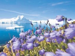 El deterioro de la Tierra impacta directamente en la calidad de vida de la civilización humana. ESPECIAL  /