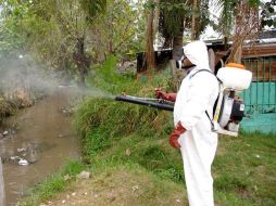 Durante el temporal de lluvias se realizan acciones de prevención de la crianza del mosquito. ARCHIVO  /