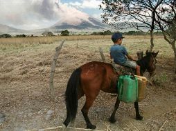 Un niño de una comunidad chiapaneca viaja a caballo para transportar agua hacia su hogar. NTX  /