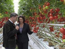 La ministra alemana de Agricultura y el ministro de Medio Ambiente de Bavaria conversan en su visita a una plantación de tomates. EFE  /