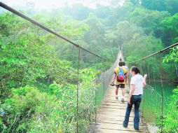 Tapijulapa, un Pueblo Mágico rodeado de bosque y selva. EL UNIVERSAL  /