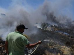 El incendio forestal iniciado en Arizona ya ha incursionado en dos ocasiones hacia el lado mexicano. ARCHIVO  /