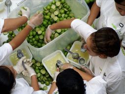 Tardaron 2 horas y media en exprimir unos 30 mil limones para producir mil 100 litros de zumo. EFE  /