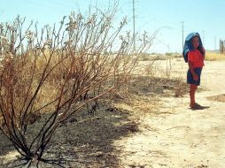 Sonora es uno de los 15 estados de la República que se ven afectados por las altas temperaturas. NTX  /