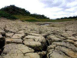Desde hace 27 años no se veía una sequía de este tamaño en la entidad. ARCHIVO  /