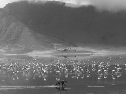 Lago en el Gran Valle del Rift, en Kenia. ESPECIAL  /