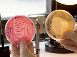 España pide soluciones ante posibles brotes infecciosos. ARCHIVO  /