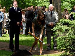 Los duques de Cambridge, Guillermo (i) y Catalina (c) en un acto en el que plantaron un árbol en Rideau Hall, Ottawa. EFE  /