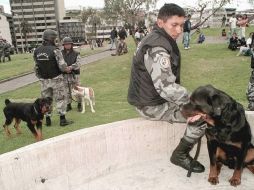 Los canes están entrenados para detectar explosivos (TNT, C-4 y pólvoras), armas y municiones. ARCHIVO.  /