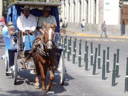 En el caso de los caballos de las calandrias, por cada hora de trabajo los animales deberán descansar 20 minutos. A. GARCÍA  /