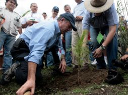 Las 80 hectáreas que se pretenden reforestar sufren actualmente erosión de suelos. A. HINOJOSA  /
