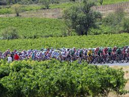 La décimo sexta etapa será entre Saint-Paul-Trois-Châteaux y Gap. EFE  /