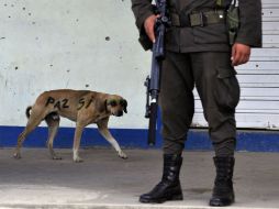Santos recordó el avance de las Fuerzas Armadas en el sur del Tolima contra las FARC, que han perdido a 10 cabecillas. AFP  /