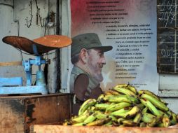 Un póster con la imagen del líder cubano Fidel Castro adorna la pared de un puesto de venta de vegetales en La Habana. EFE  /
