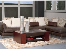 Para el director general de Muebles Placencia, Leonardo Placencia, el éxito también es parte del capital humano. ESPECIAL  /