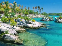 Los visitantes al parque, ubicado en la Riviera Maya, podrán interactuar con los animales marinos. ESPECIAL  /