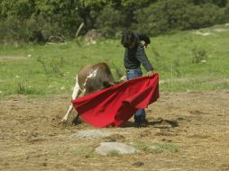 Julio de la Isla torea a campo abierto en la ganadería de Pablo Moreno, como parte del cierre de su preparación. E.FLORES  /
