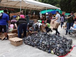 Destacó que la brigada Campeche que se trasladó a la Ciudad de México con bomberos, médicos, socorristas y binomios caninos.