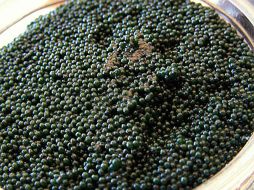 Caviar negro. ESPECIAL  /