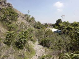 La construcción afecta parte del Área Natural del Bosque de La Primavera. A. HINOJOSA  /