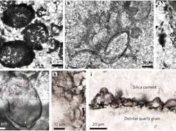 Los investigadores utilizaron técnicas muy sofisticadas para comprobar que estos microbios sobrevivieron gracias al sulfuro. EFE  /