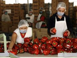 Los agroparques,como el ubicado en Etzatlán (imagen), son uno de los proyectos que reclaman apoyo del gobierno estatal. ARCHIVO  /