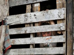 Jalisco es el tercer Estado con mayor incremento de pobres extremos entre 2008 y 2010. S. NÚÑEZ.  /