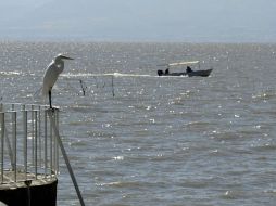 Si Guadalajara no extrae el 100% de agua permitida al Lago de Chapala, el agua se redireccionará. ARCHIVO.  /