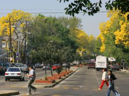 Avenida La Paz será uno de los “carriles panamericanos”. Incluso, tendrá un carril a contraflujo para los invitados a la justa.ARCHIVO.  /