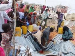 La cifra de personas afectadas por la hambruna se ha incrementado y de seguir sin hacer nada el número seguirá en aumento. AP  /