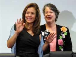 Zavala señaló que no solo se necesita buena voluntad, si no que son necesarios programas adecuados en atención a adicciones. ARCHIVO  /