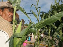 Los efectos del clima en Jalisco también perjudican el tratamiento de la tierra donde se cultiva. ARCHIVO  /